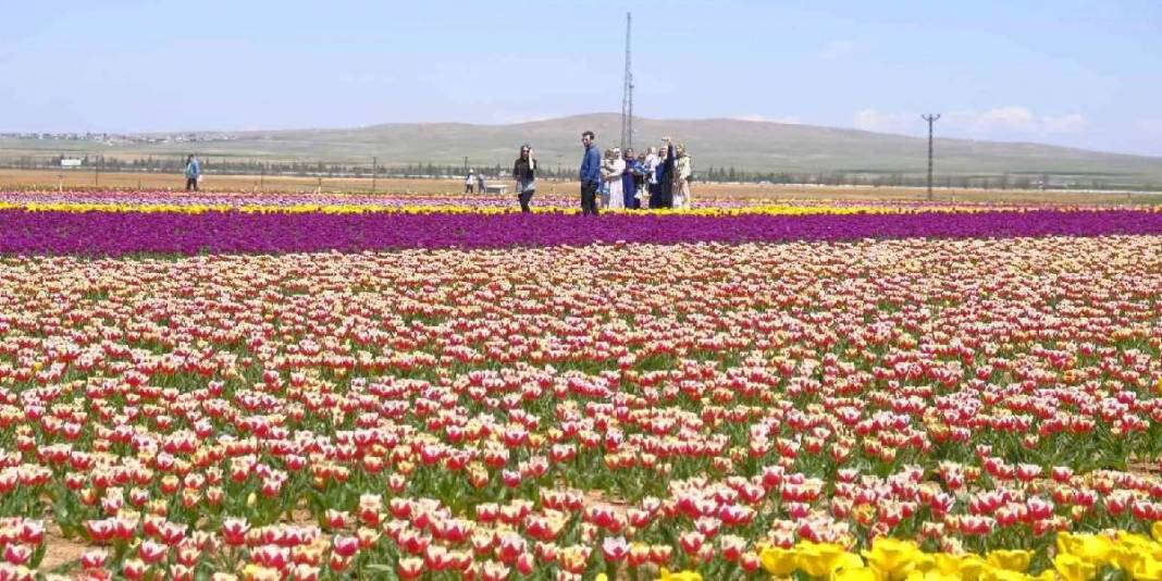 Akın akın Karaman'a gittiler: 2 günde ziyaretçi sayısı 30.000’e ulaştı 1